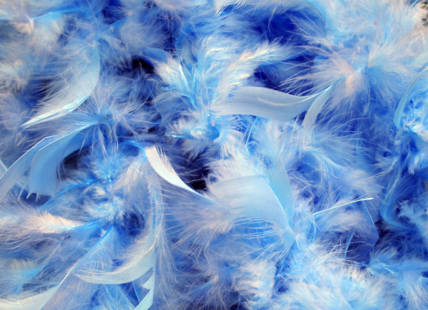 Цвета, их характеристики и энергетические вибрации Blue-feathers-background-20851283962657RO9V